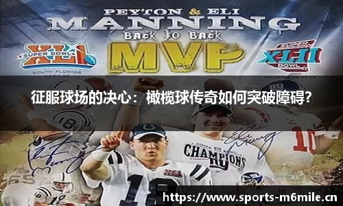 米乐m6体育